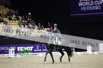 182194_mlm_02_R62_0681.JPG