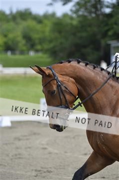 140040_abo_01__AB16861.JPG