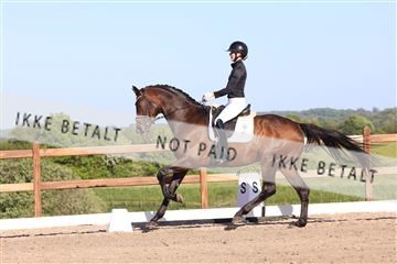 181449_bc_01R62_6331.JPG