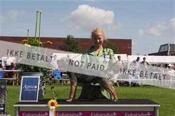 130370_se_03_IMG_7447.JPG