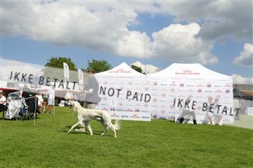 181564_kar_01__62_6858.JPG