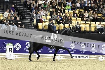 182194_kbb_03_Z092132.JPG