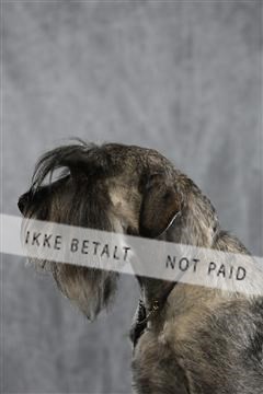 128239_le_kort_ 01_0432.JPG