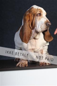 132082_le_ 01_IMG_0721.JPG