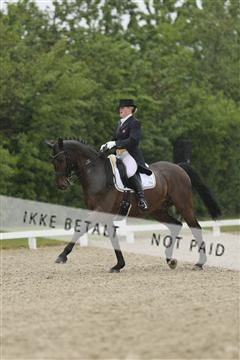 139835_sg_02_IMG_8684.JPG