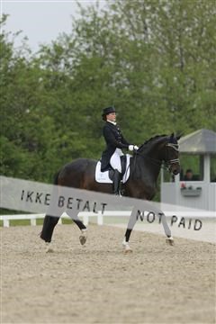 139835_sg_03_IMG_9012.JPG