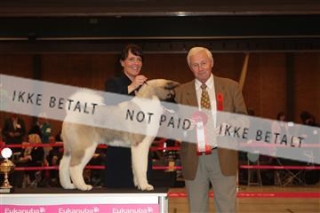 124188 _tl_02_IMG_9229.JPG