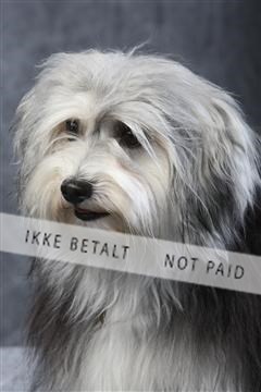 129608_le_ 01_0347.JPG