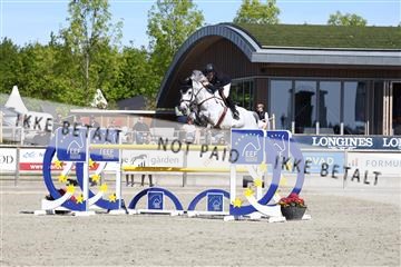 181436_avh_02_3695.JPG