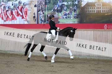 181887_mtp_02_R62_7375.JPG