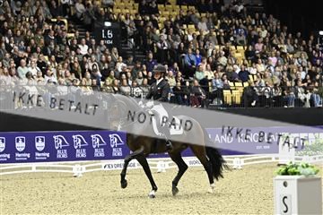 182194_kbb_03_Z092349.JPG