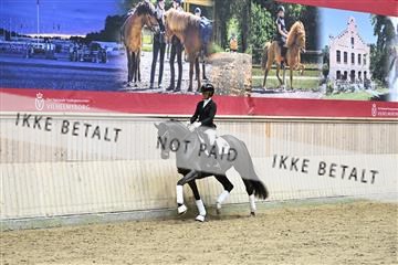 182241_kbb_01_Z093592.JPG