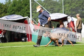 181564_rin_01_R62_7619.JPG