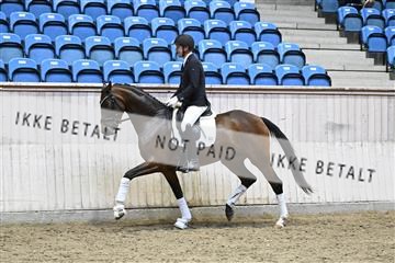 182241_kbb_01_Z094668.JPG