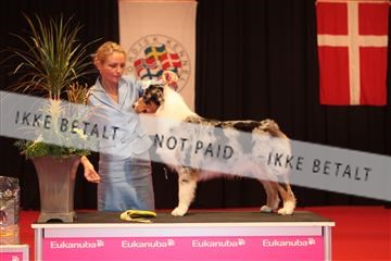 126827_tl_04_IMG_9910.JPG