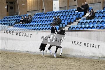 182241_kbb_01_Z094732.JPG