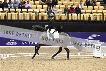 182194_kbb_03_Z091378.JPG