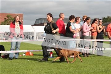 130370_tl_01_IMG_7507.JPG