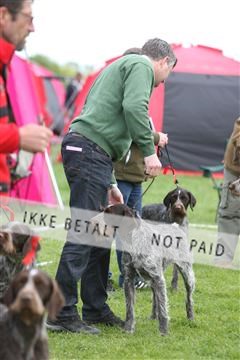 134871_ms_04_IMG_9974.JPG