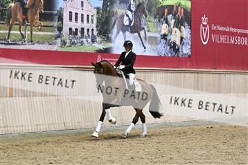 182241_kbb_01_Z095334.JPG