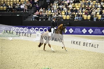 182194_kbb_02_Z098988.JPG