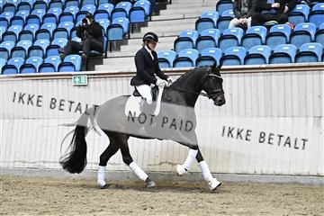 182241_kbb_01_Z094437.JPG
