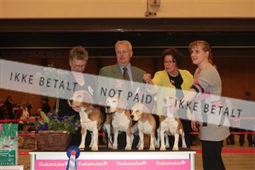 124188 _tl_02_IMG_9584.JPG