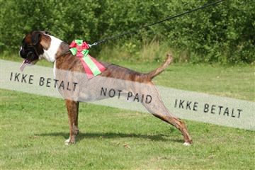 130370_le_03_IMG_8309.JPG