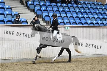 182241_kbb_01_Z093548.JPG