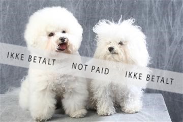 129608_le_ 01_0506.JPG