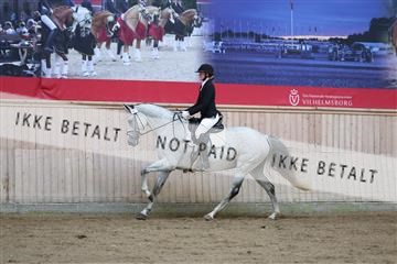 181887_mtp_02_R62_7486.JPG