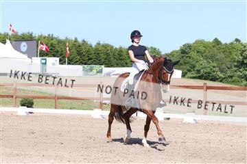 181449_bc_01R62_5952.JPG