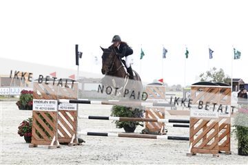 181922_avh_01_0983.JPG