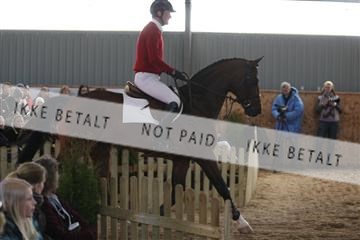 139206_kl_1_8M1Q5223.JPG