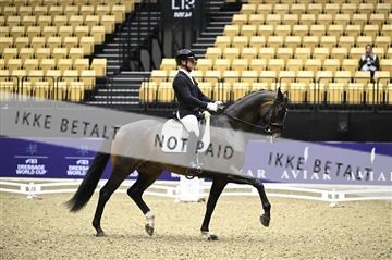 182194_kbb_02_Z098241.JPG