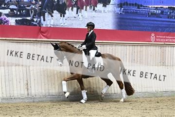 182241_kbb_01_Z094244.JPG