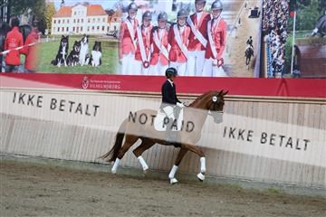 181887_mtp_02_R62_7449.JPG