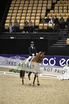 182194_kbb_01_Z097174.JPG