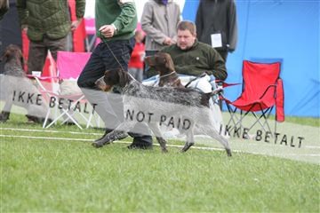 134871_ms_04_IMG_9886.JPG