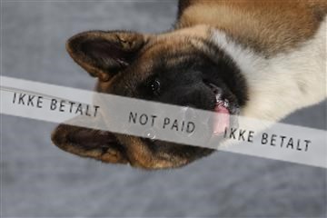 128239_le_ 06_0042.JPG