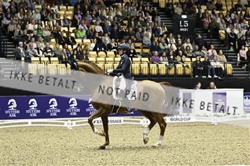182194_kbb_03_Z091656.JPG