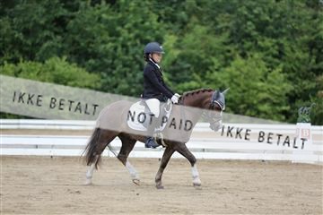 156196_nn_01_IMG_5990.JPG
