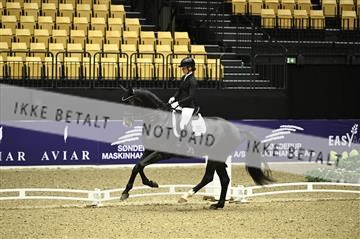 182194_kbb_01_Z095555.JPG