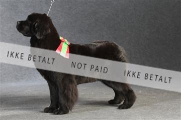 132082_le_ 01_IMG_1450.JPG