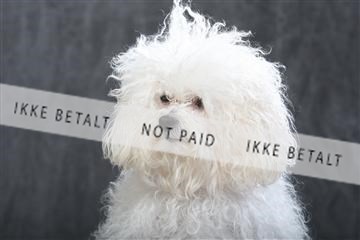 130054_le_ 01_0179.JPG