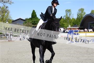 181436_avh_02_3611.JPG