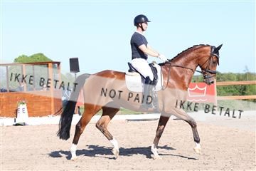 181449_bc_01R62_6115.JPG