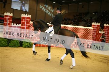 5471_jbr _04_IMG_6371.JPG