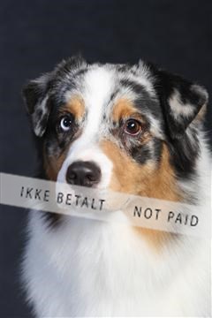 132082_le_ 01_IMG_0268.JPG