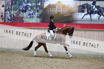 181887_mtp_05_R62_9727.JPG